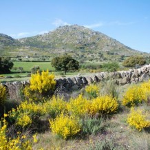Visitas a la Zona Arqueológica de El Berrueco