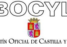 Plantillas definitivas 2015 BOCYL