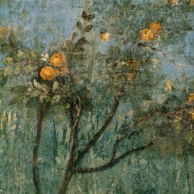 Conferencias Fundación Pastor