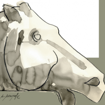 Miradas sobre Grecia